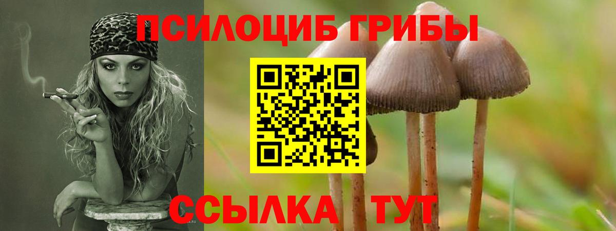 Симферополь  Галлюциногенные грибы мухоморы  Вход с VPN 